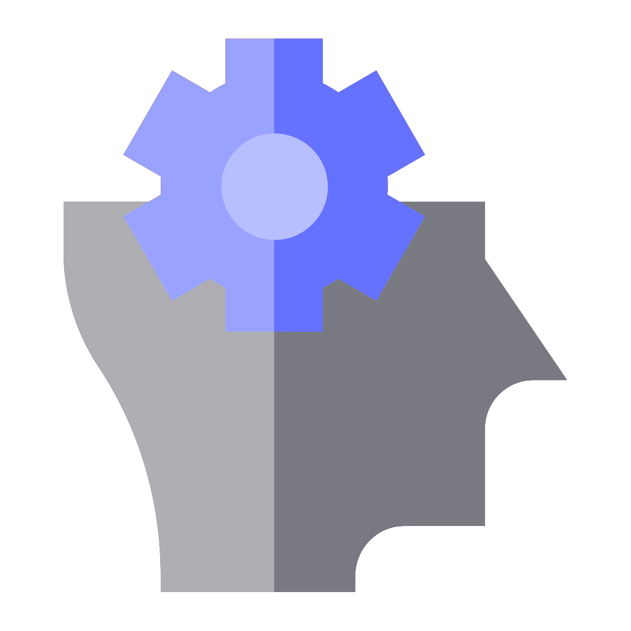 Practical Skill Development